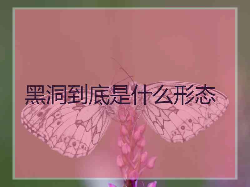 黑洞到底是什么形态 黑洞到底是什么形态