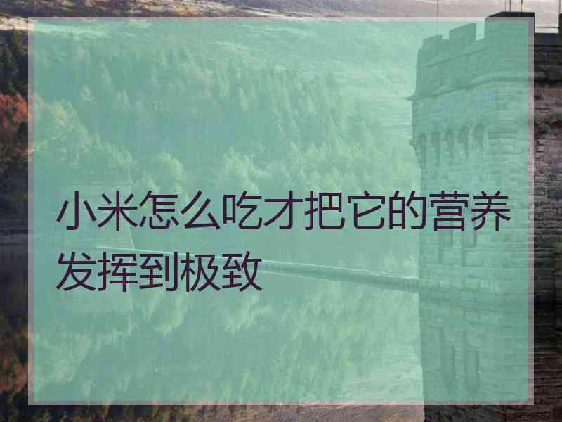 小米怎么吃才把它的营养发挥到极致 小米怎么吃才把它的营养发挥到极致