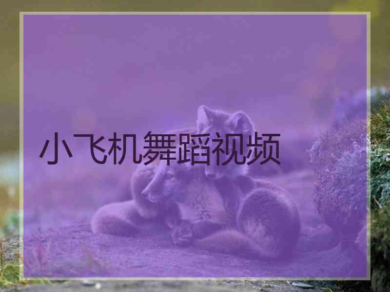 小飞机舞蹈视频 小飞机舞蹈视频