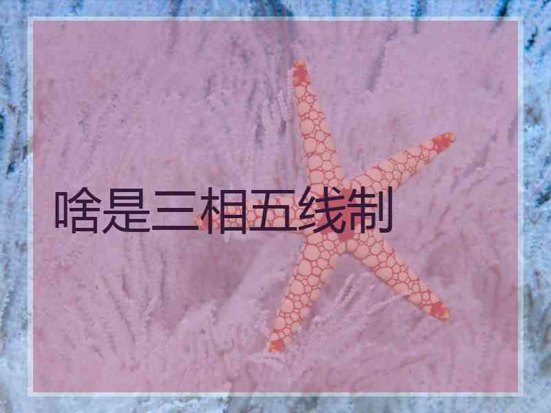 啥是三相五线制 啥是三相五线制