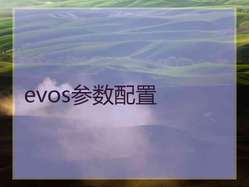 evos参数配置
