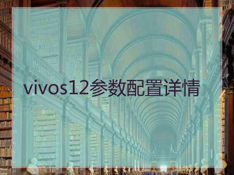 vivos12参数配置详情 vivos12参数配置详情