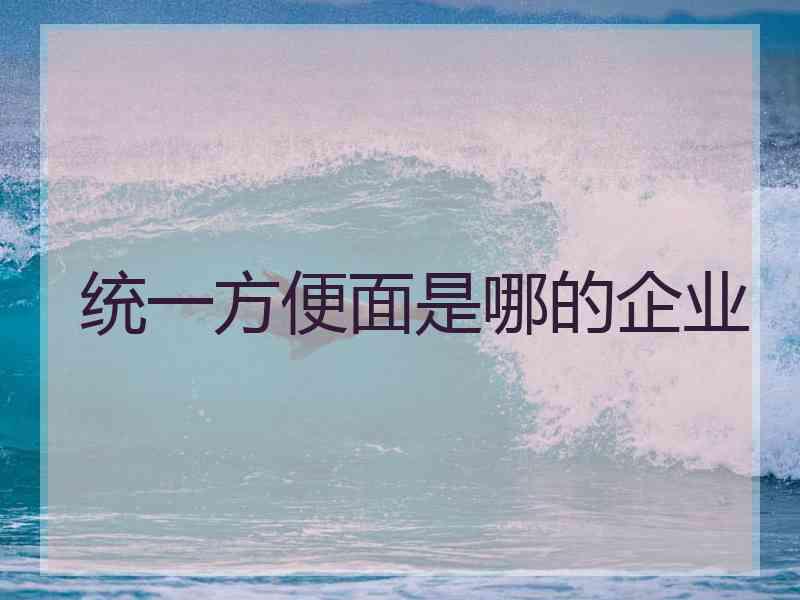 统一方便面是哪的企业