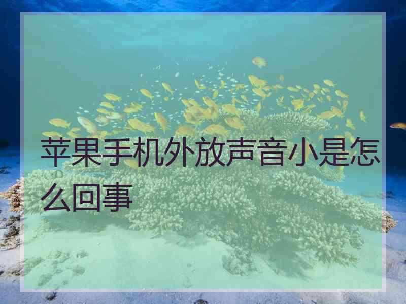 苹果手机外放声音小是怎么回事