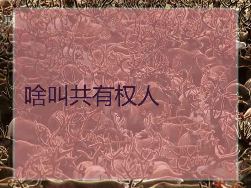 啥叫共有权人 啥叫共有权人