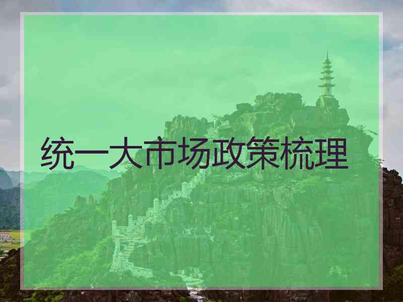 统一大市场政策梳理 统一大市场政策梳理