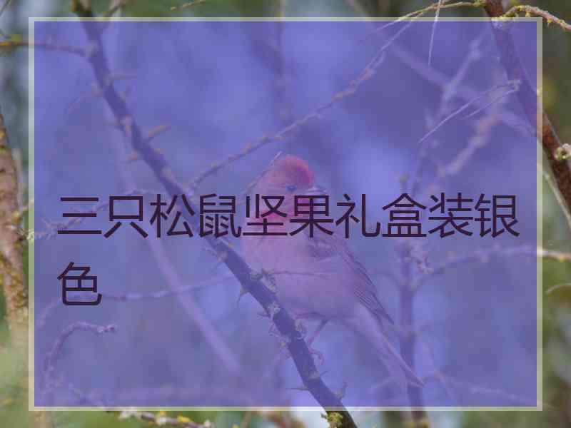 三只松鼠坚果礼盒装银色 三只松鼠坚果礼盒装银色