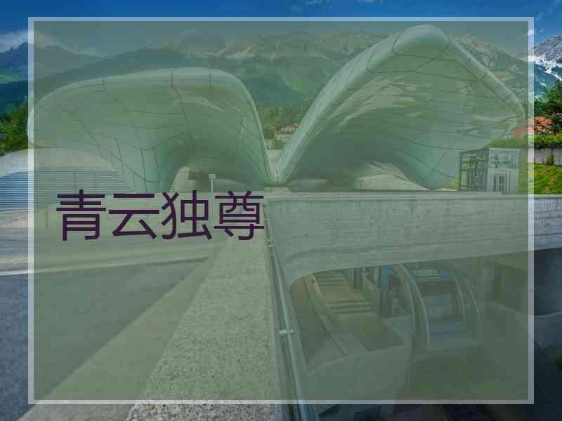 青云独尊