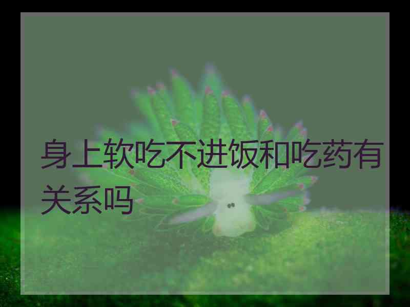 身上软吃不进饭和吃药有关系吗 身上软吃不进饭和吃药有关系吗