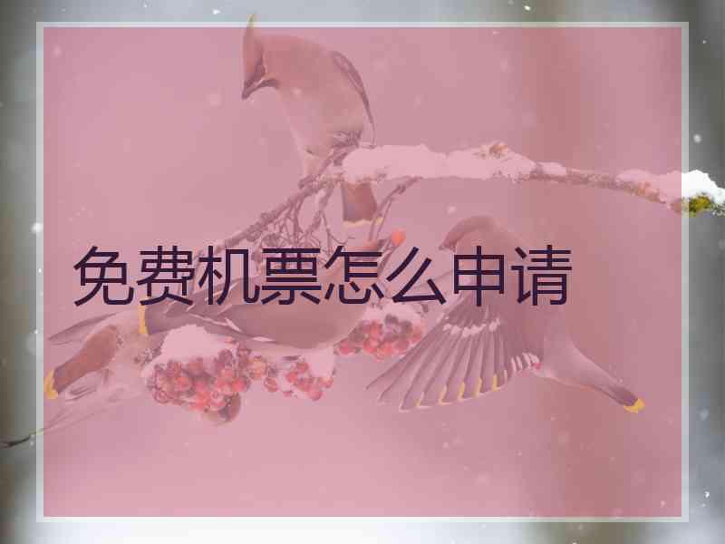 免费机票怎么申请 免费机票怎么申请