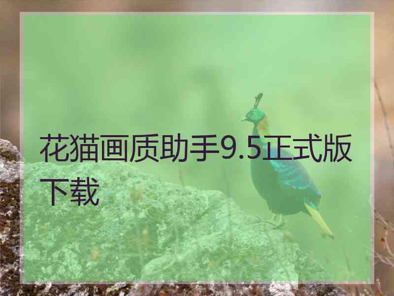 花猫画质助手9.5正式版下载