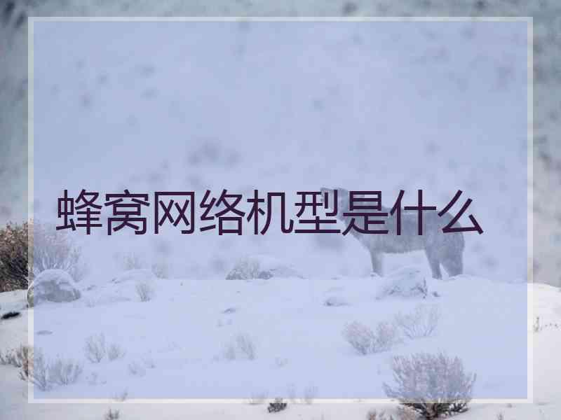 蜂窝网络机型是什么