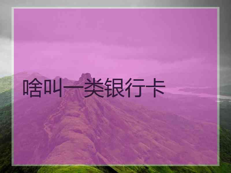 啥叫一类银行卡