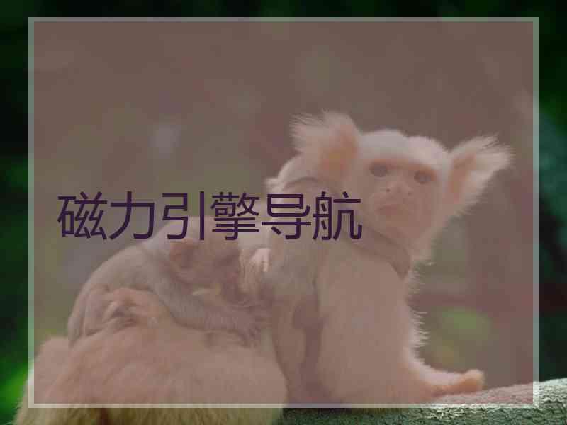 磁力引擎导航