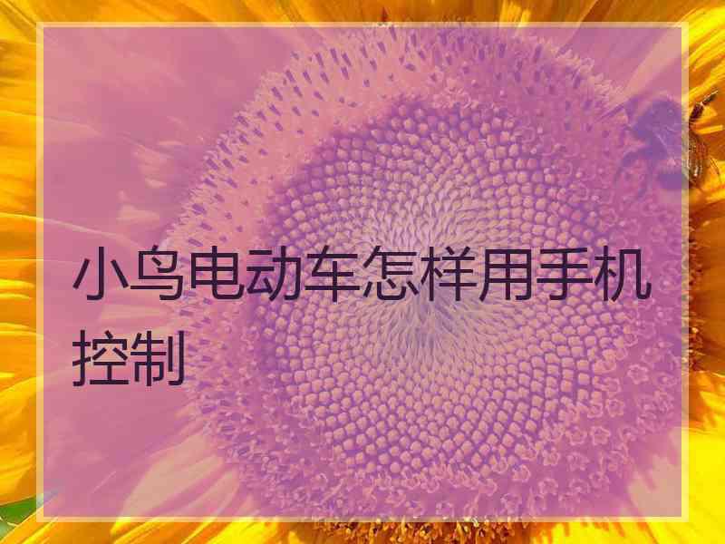 小鸟电动车怎样用手机控制