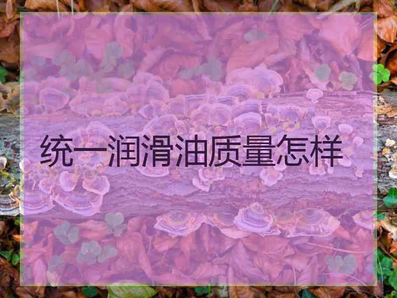统一润滑油质量怎样
