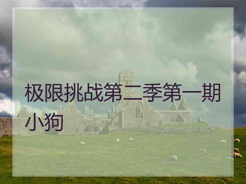 极限挑战第二季第一期小狗