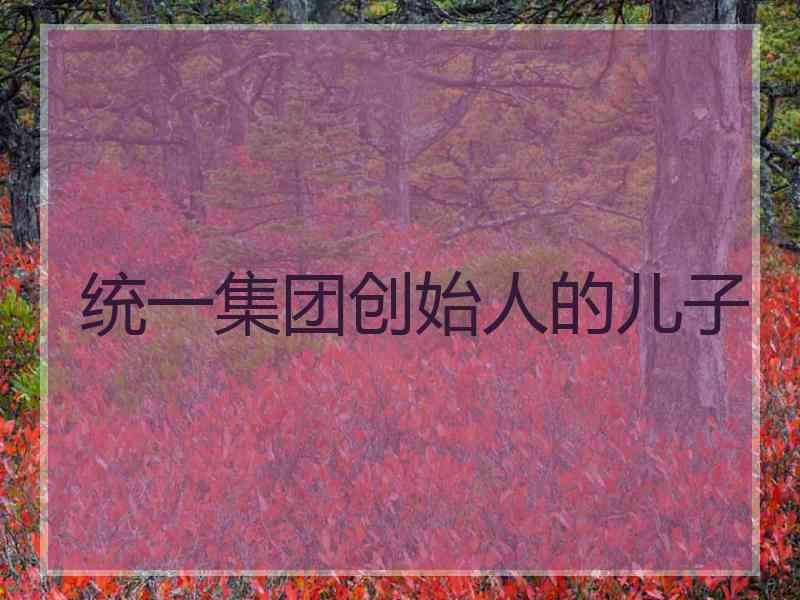 统一集团创始人的儿子