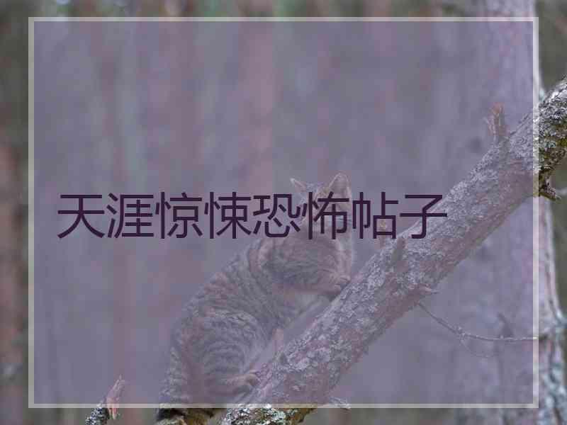 天涯惊悚恐怖帖子