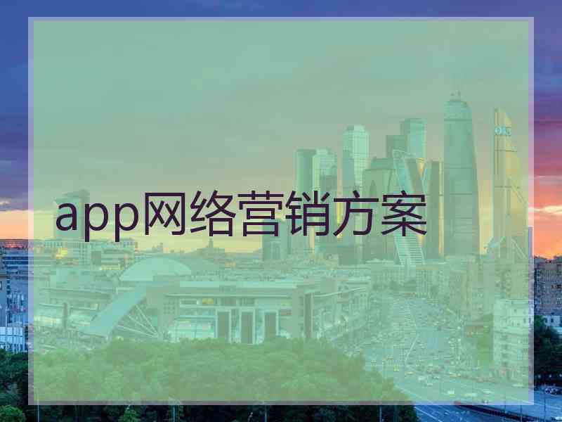 app网络营销方案