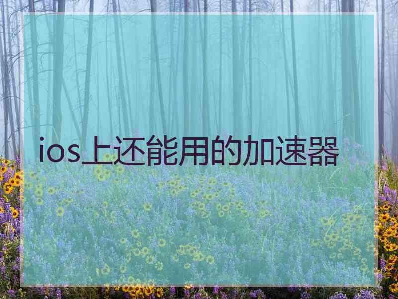 ios上还能用的加速器