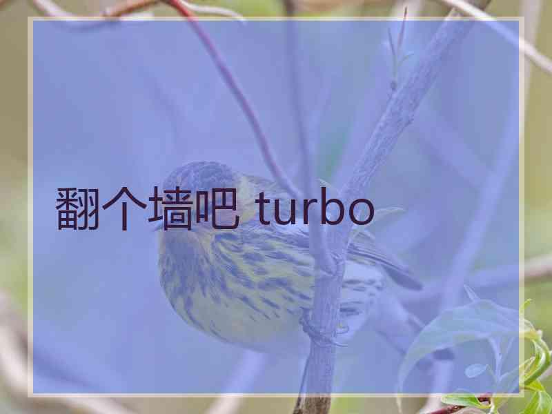 翻个墙吧 turbo