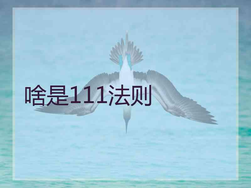 啥是111法则