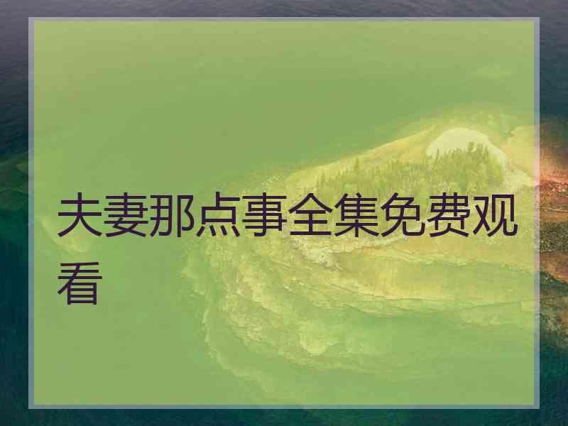 夫妻那点事全集免费观看