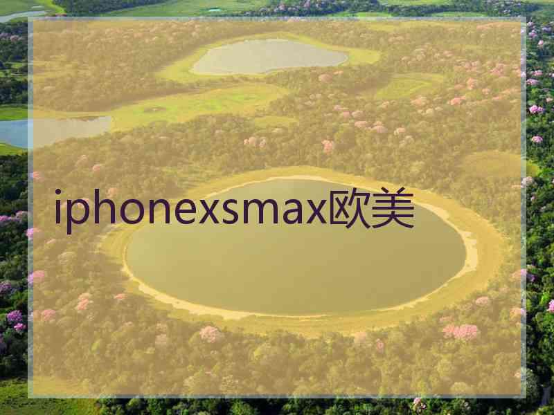 iphonexsmax欧美