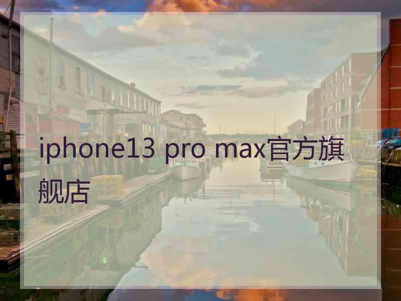 iphone13 pro max官方旗舰店