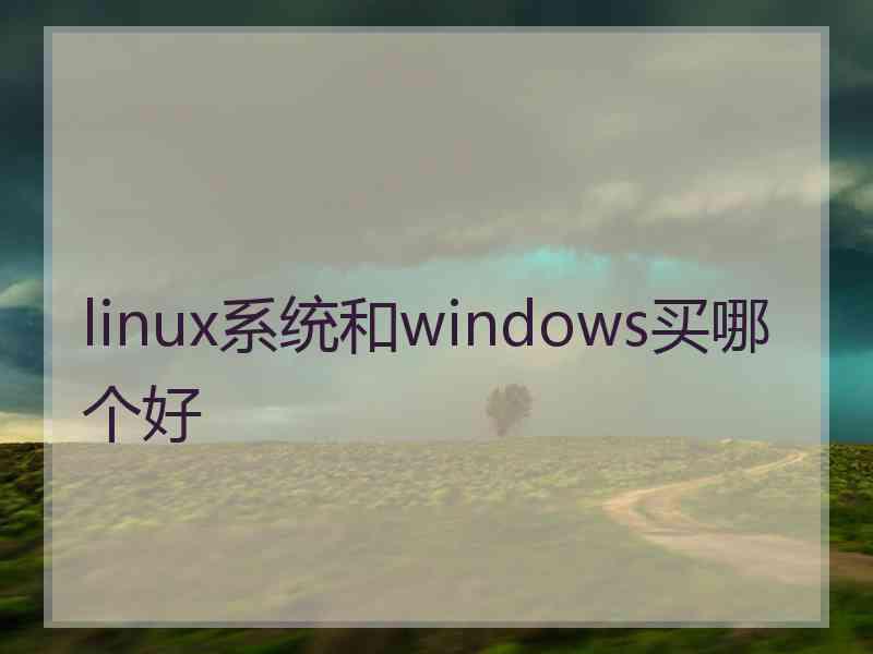 linux系统和windows买哪个好