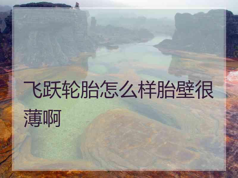 飞跃轮胎怎么样胎壁很薄啊