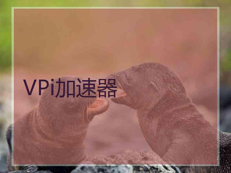 VPi加速器