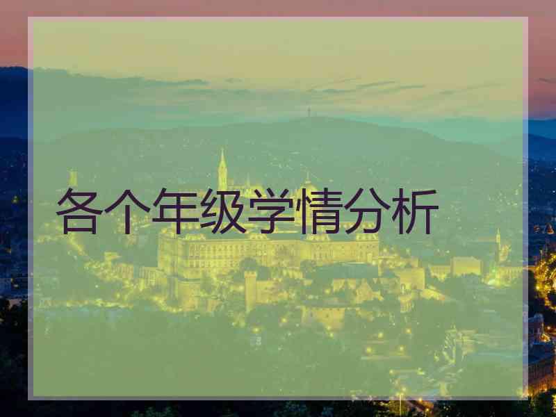 各个年级学情分析