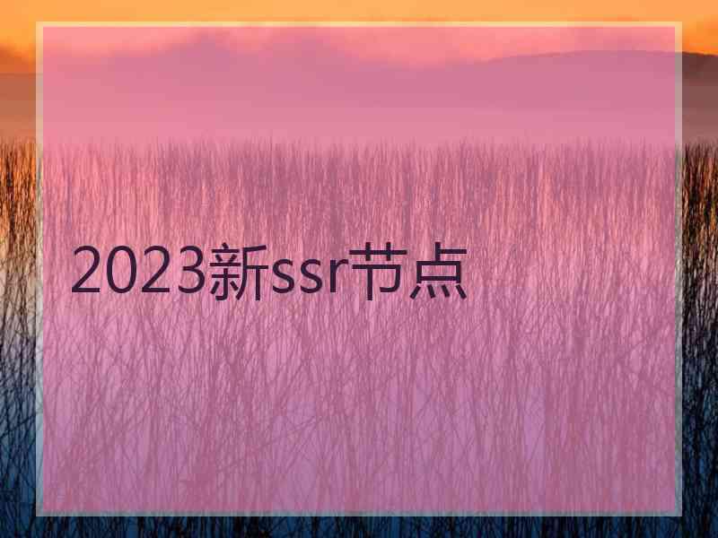 2023新ssr节点