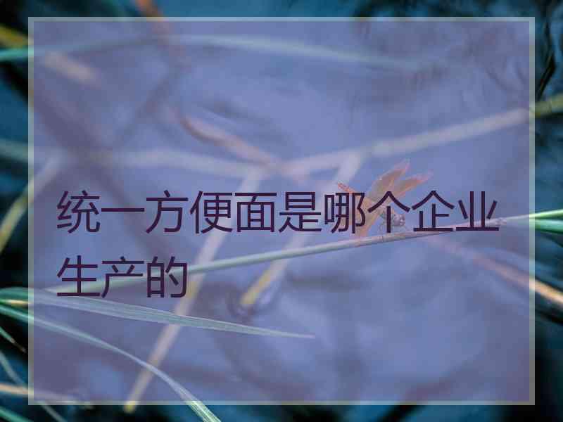 统一方便面是哪个企业生产的