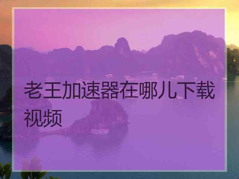 老王加速器在哪儿下载视频