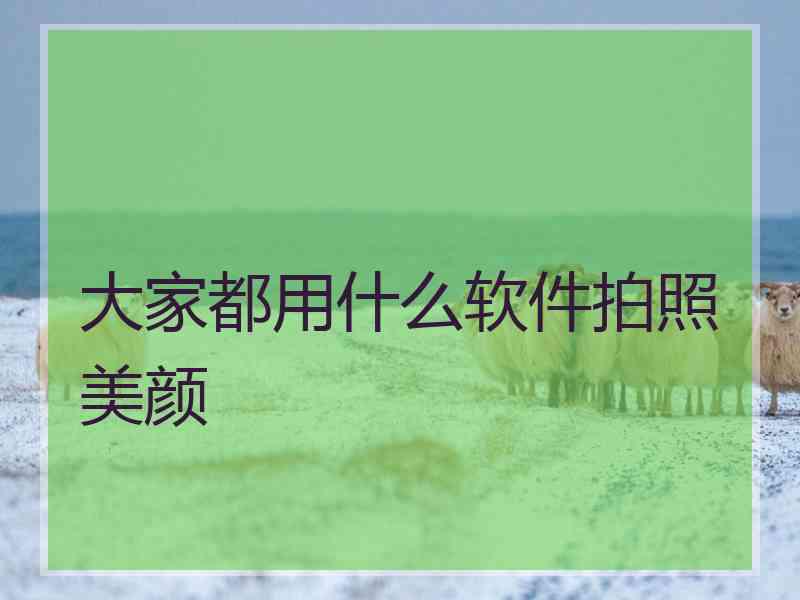 大家都用什么软件拍照美颜
