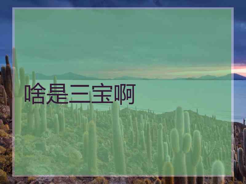啥是三宝啊