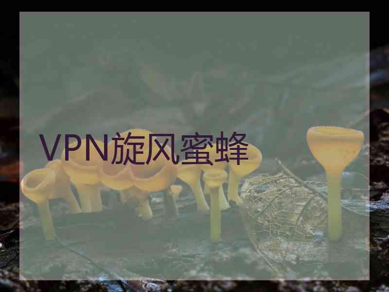 VPN旋风蜜蜂