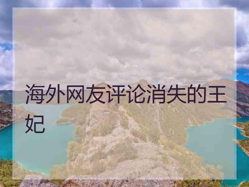 海外网友评论消失的王妃