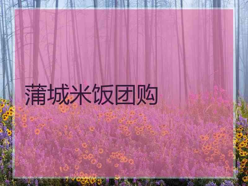 蒲城米饭团购
