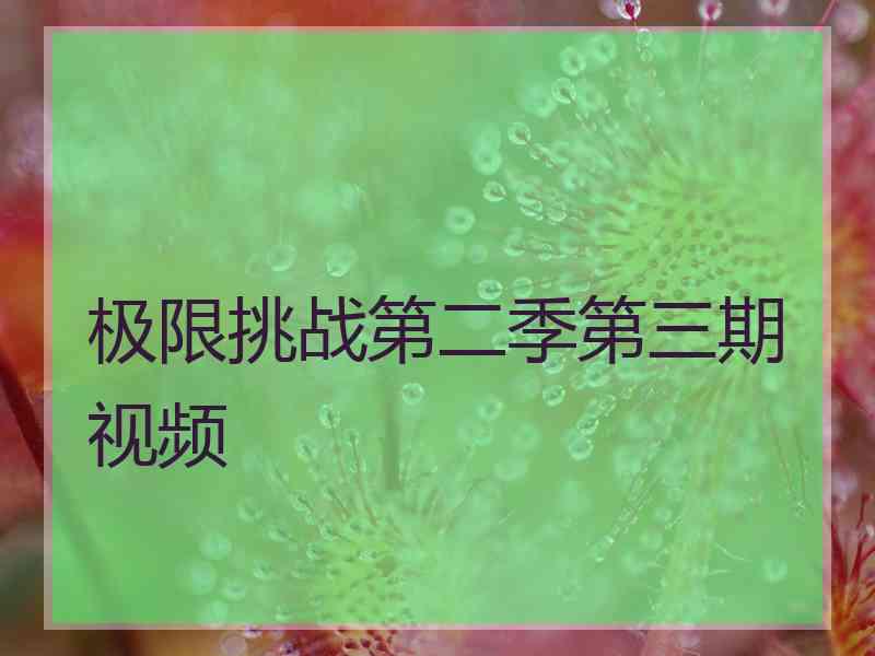 极限挑战第二季第三期视频