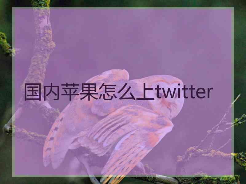 国内苹果怎么上twitter