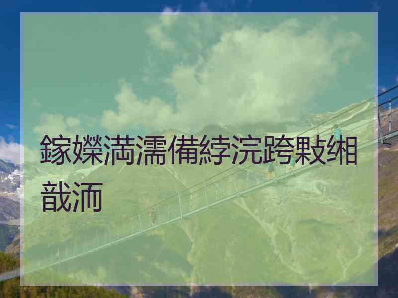 鎵嬫満濡備綍浣跨敤缃戠洏