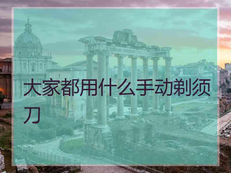 大家都用什么手动剃须刀