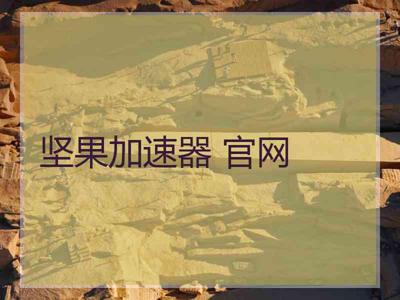 坚果加速器 官网
