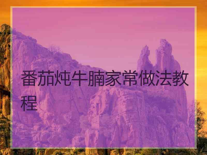 番茄炖牛腩家常做法教程