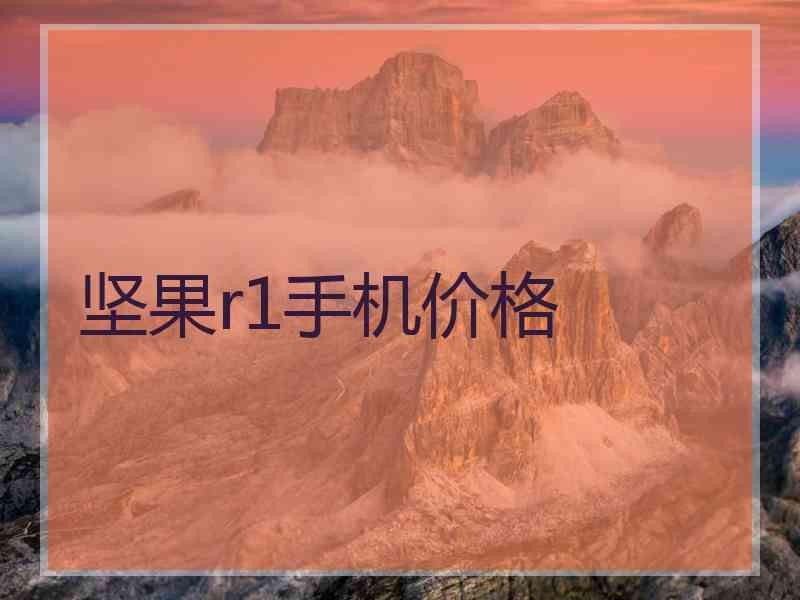 坚果r1手机价格
