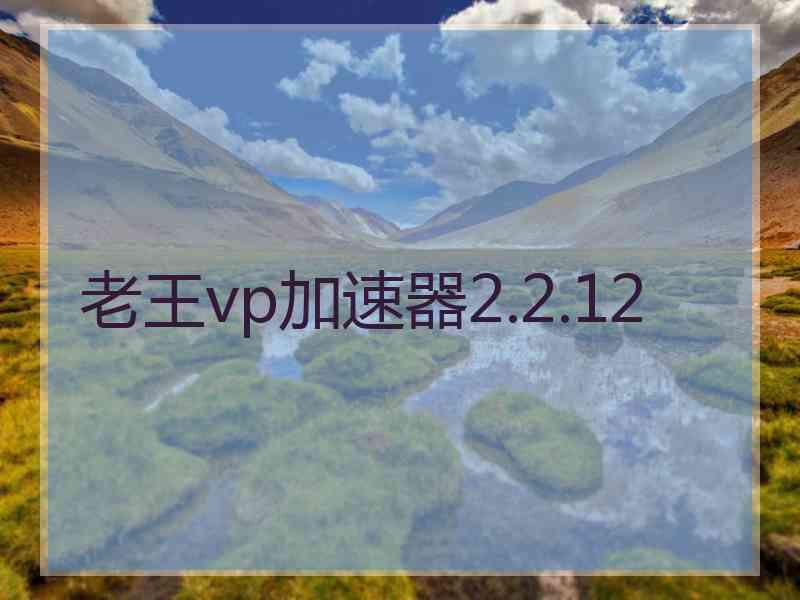 老王vp加速器2.2.12